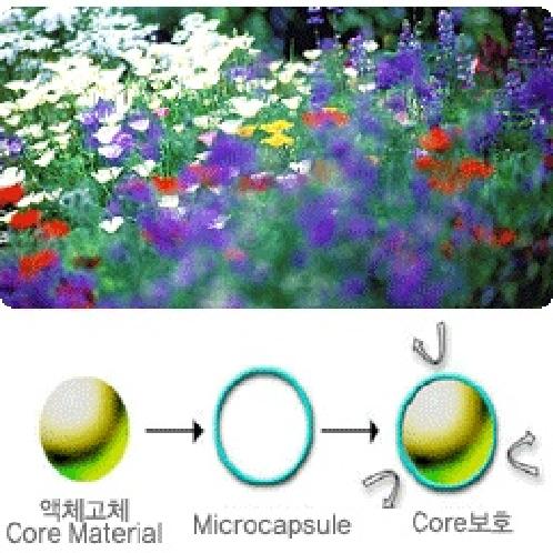 Fragrance Micro Capsule M/B